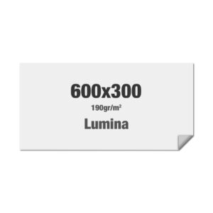 Brightbox Pro Flex Wand 600 x 300 cm Print Lumina